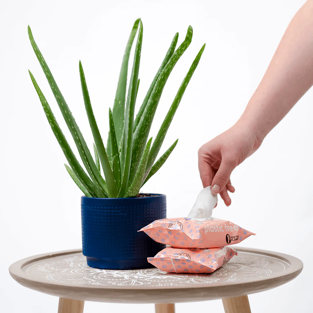 Adios Plastic | Compostable Pet Wipes - Image 13