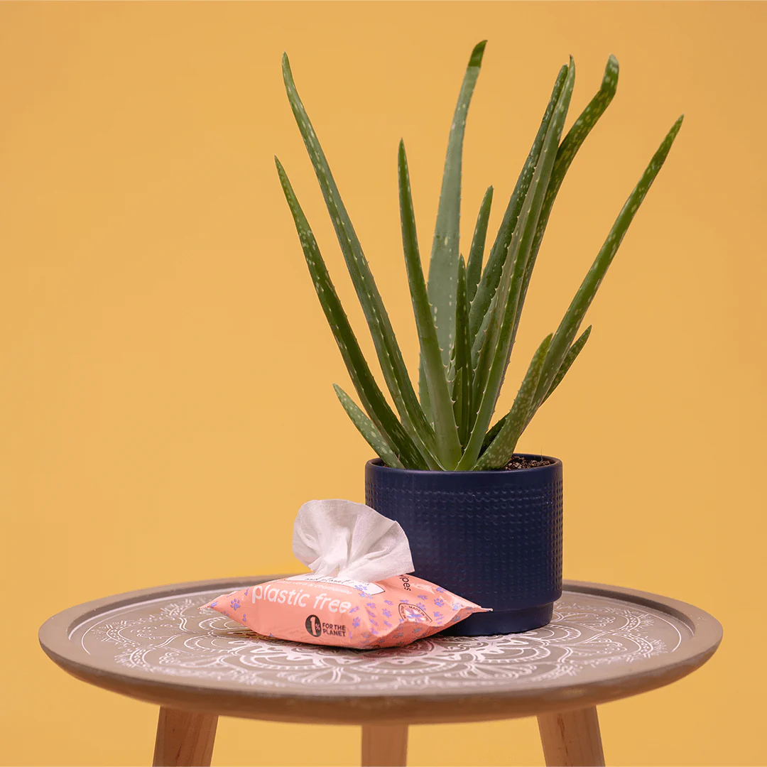 Adios Plastic | Compostable Pet Wipes - Image 3