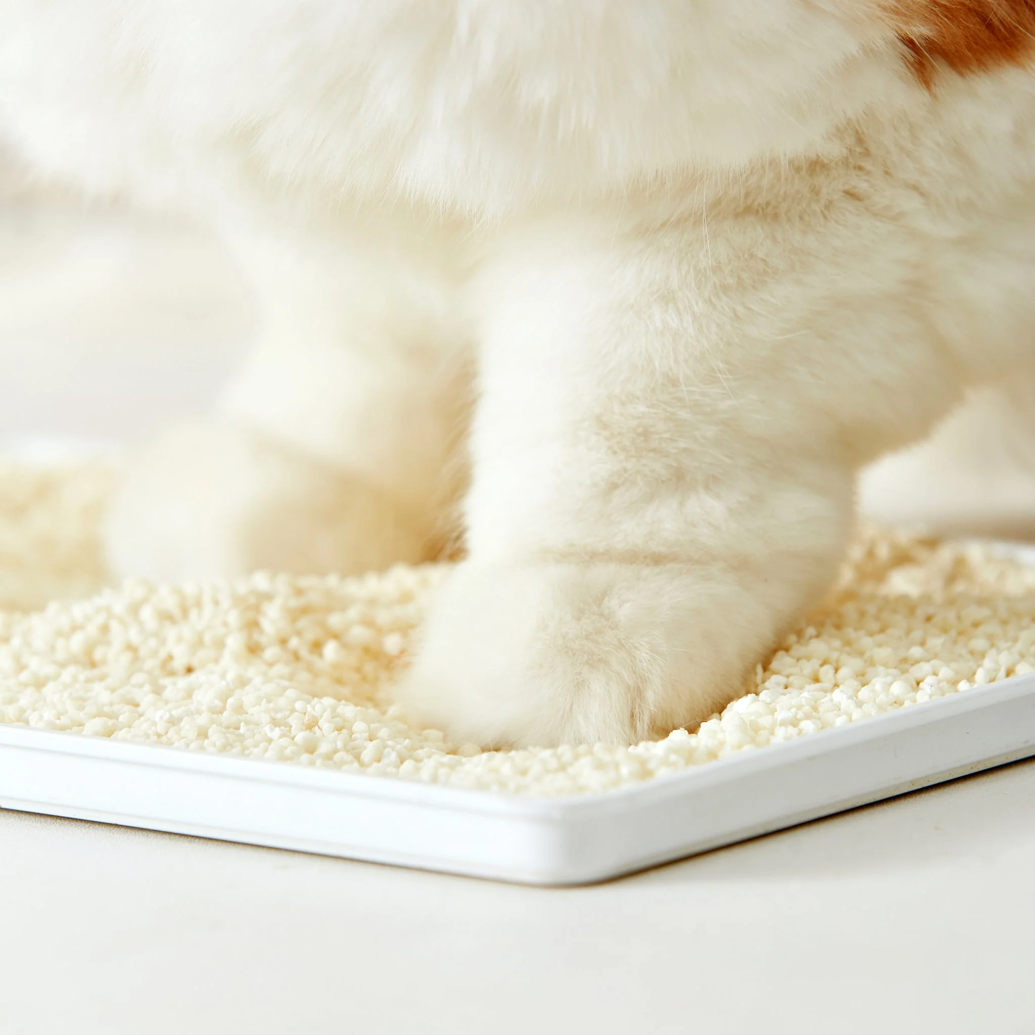 Cococat | Cassava Cat Litter - Image 3