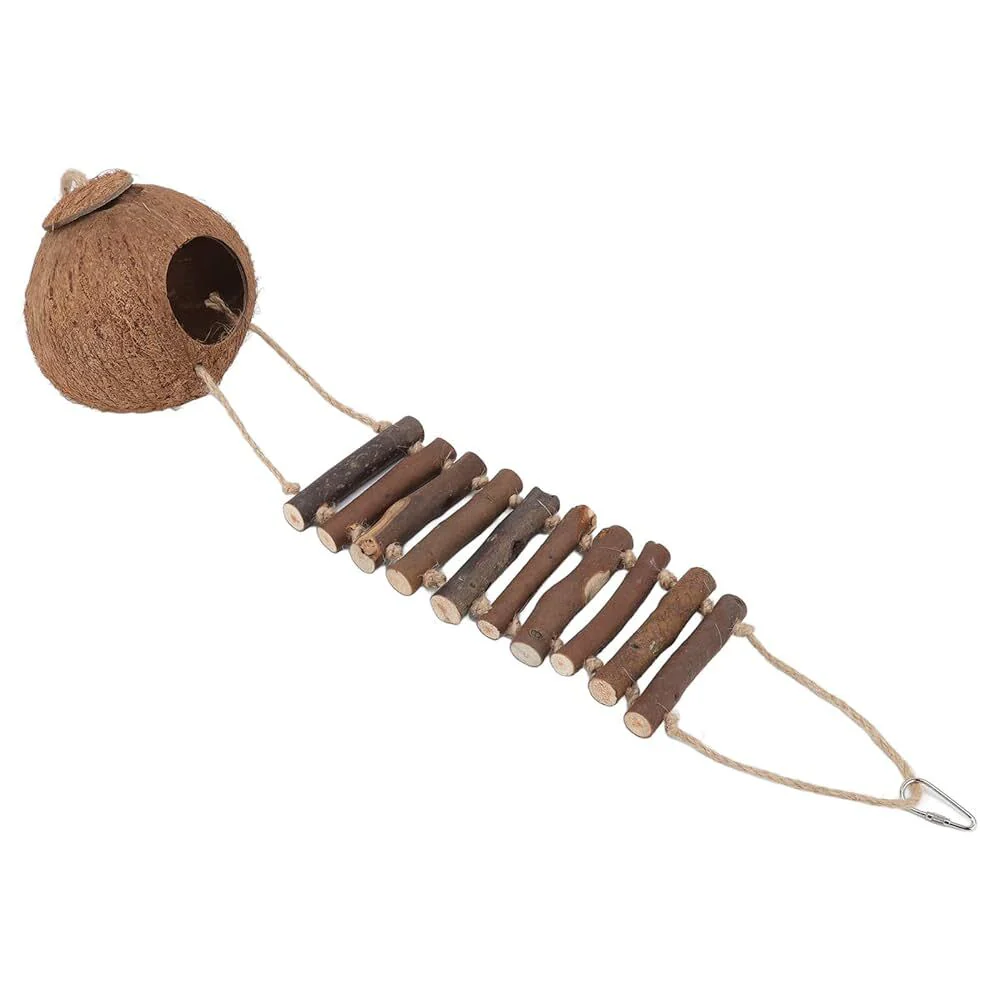 Coco Haven - Image 4