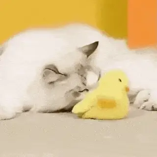 Duck ‘n’ Dash - Image 3