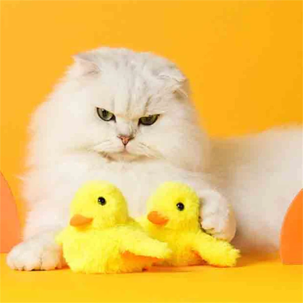 Duck ‘n’ Dash - Image 4