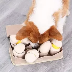 Eggs Marks the Spot - Image 4