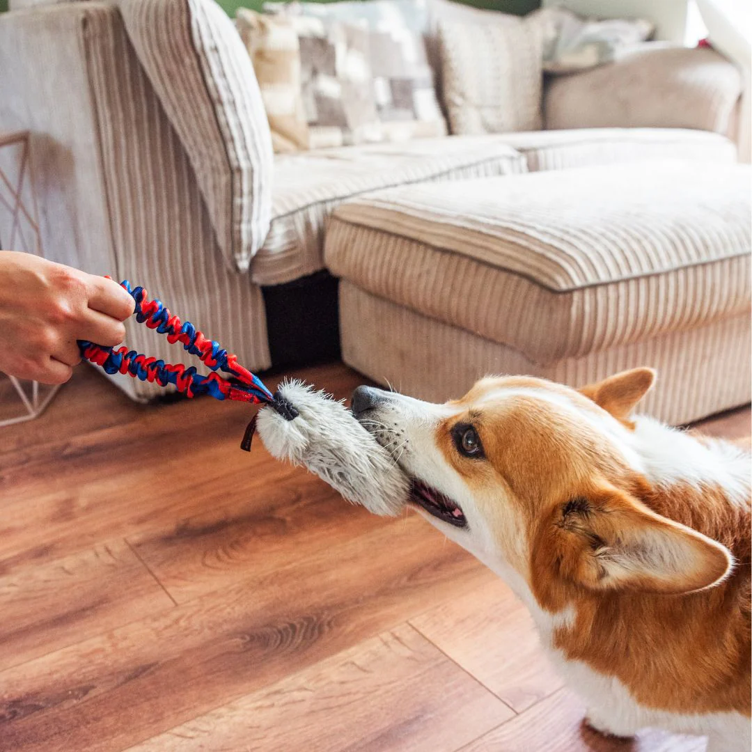 Tug-E-Nuff | Faux Fur Pocket Bungee Squeaker - Image 4