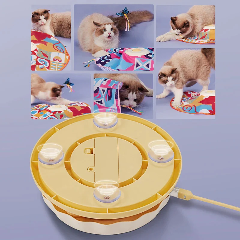 Flutter Frenzy - Image 5