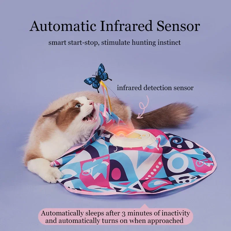 Flutter Frenzy - Image 7