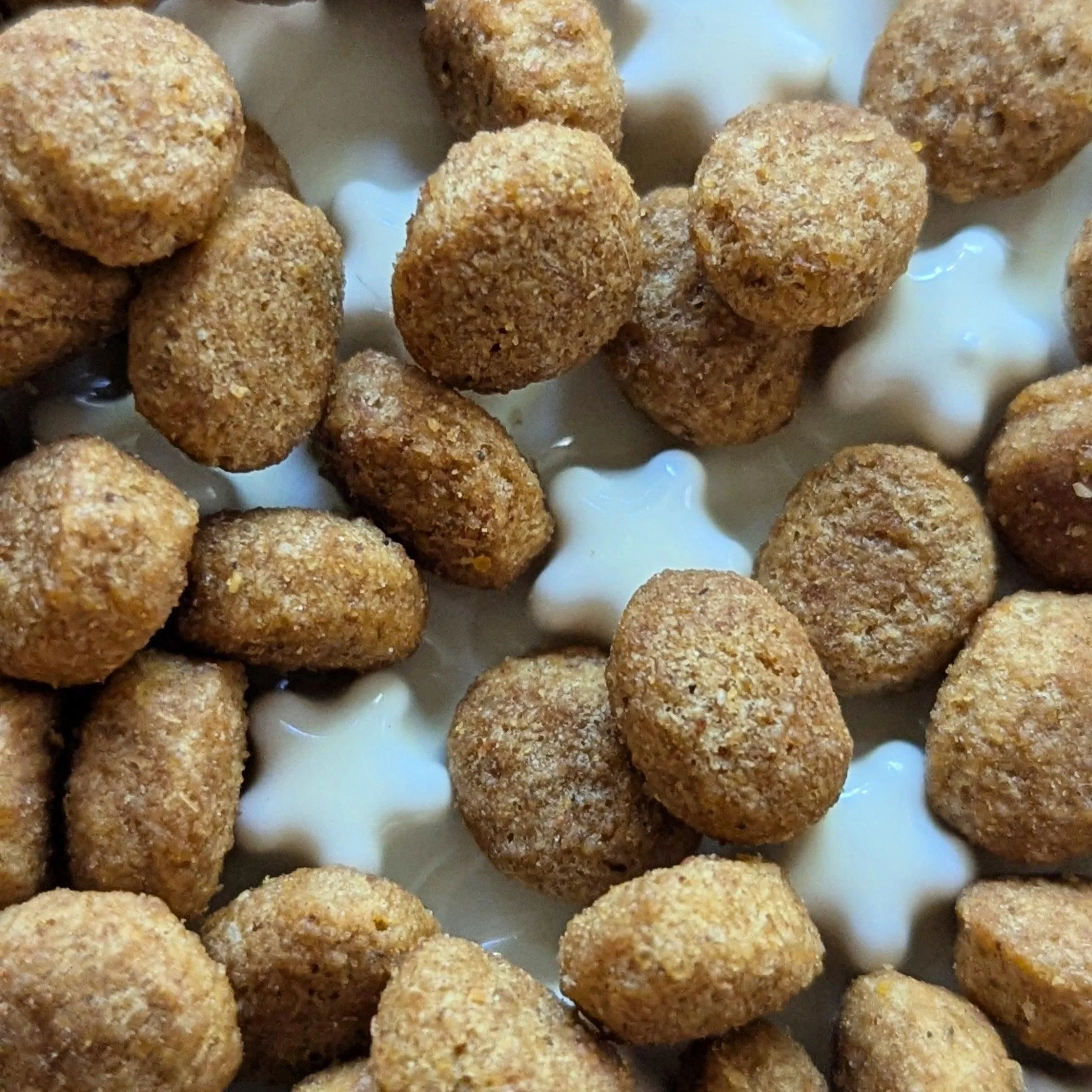 Fussy Cat | Ceramic Slow Feeder - Image 15