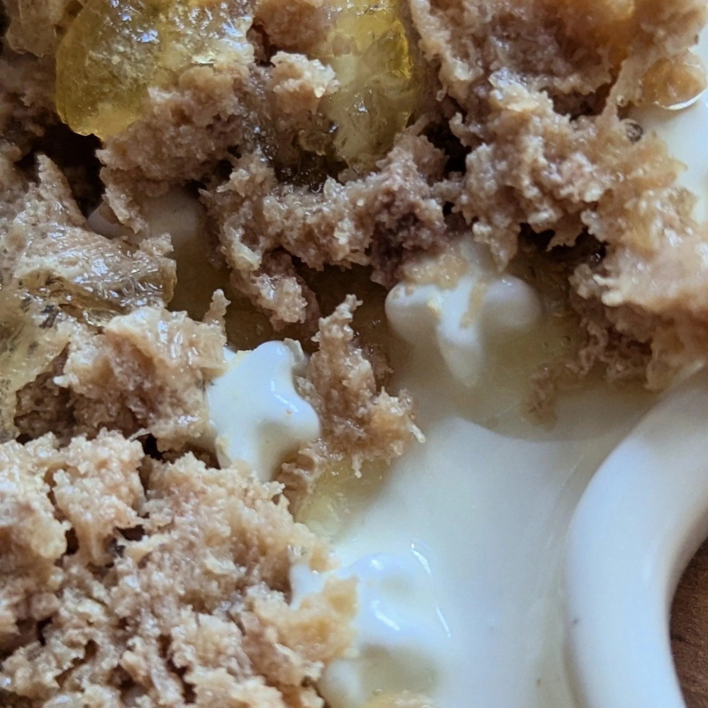 Fussy Cat | Ceramic Slow Feeder - Image 18