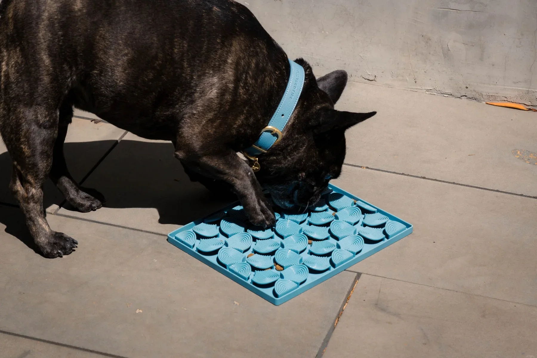 FuzzYard Life | Hide & Treat Mat - Image 12