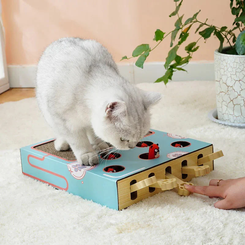 Whack-a-Mole - Interactive Cat Toy - Image 3