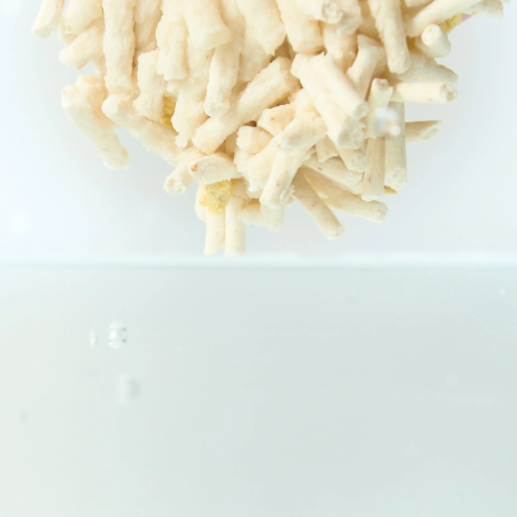 CocoCat | Plant-based Tofu Cat Litter - Image 4