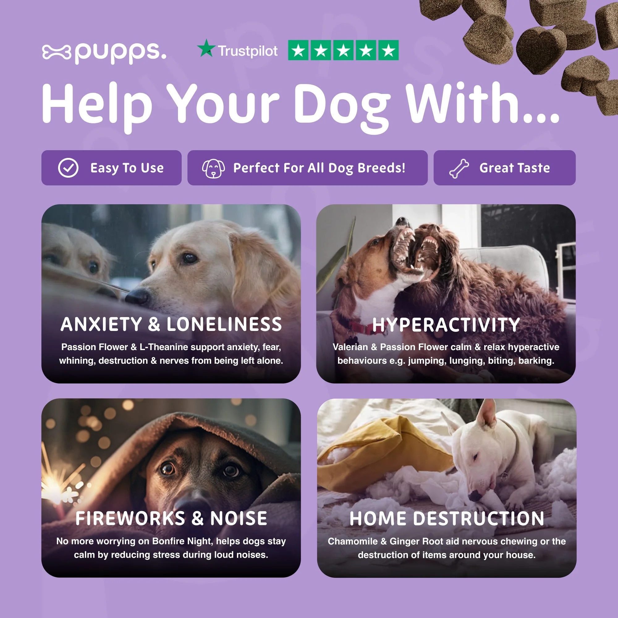 Pupps | Calming Treats - Image 6