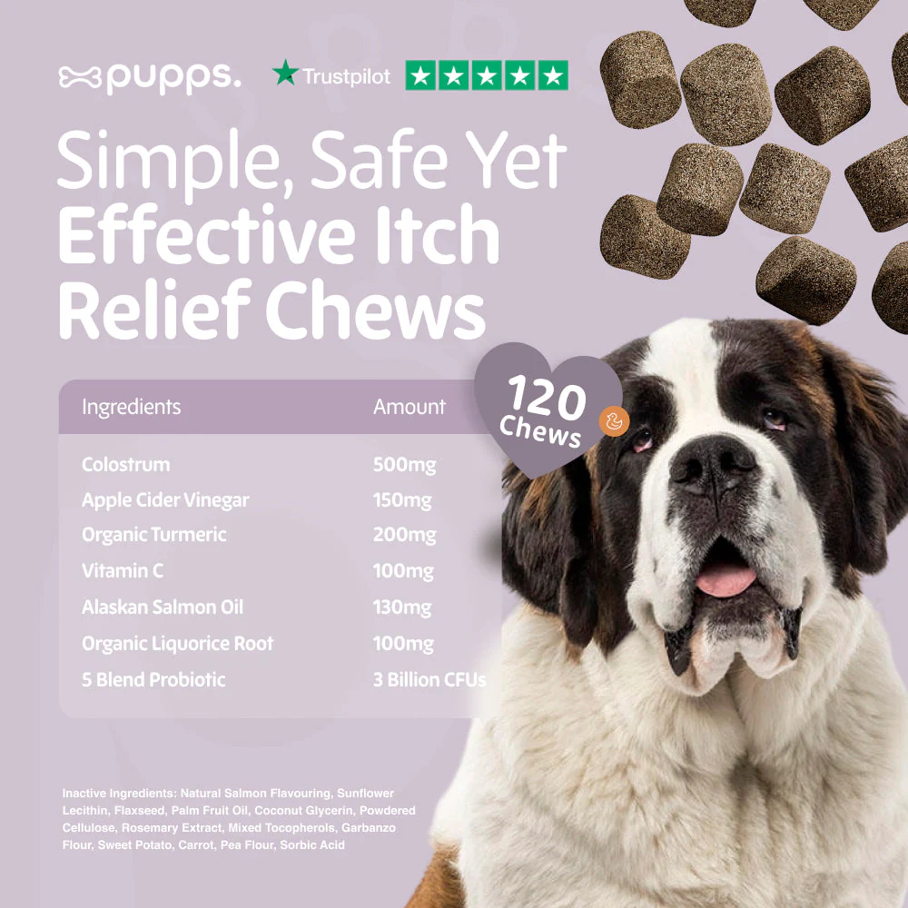 Pupps | Itch Relief Treats - Image 5