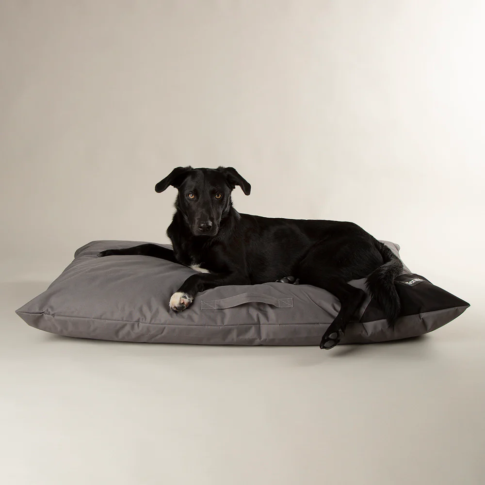 Scruffs | Expedition Memory Foam Orthopaedic Dog Bed Pillow - Image 4