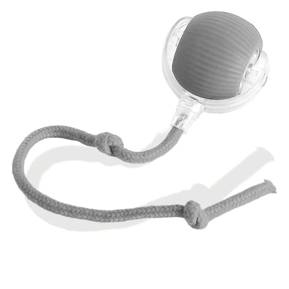 Smart Cat Motion Ball - Image 11