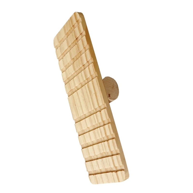 The Balance Beam - Image 5