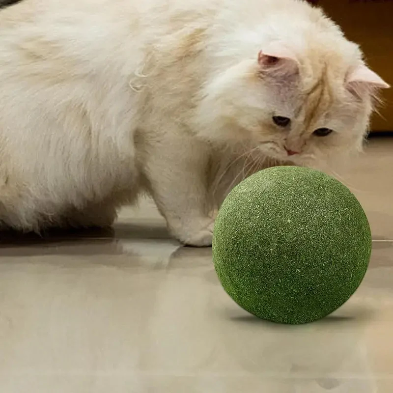 The Enchantmint | 10cm Catnip Ball - Image 4