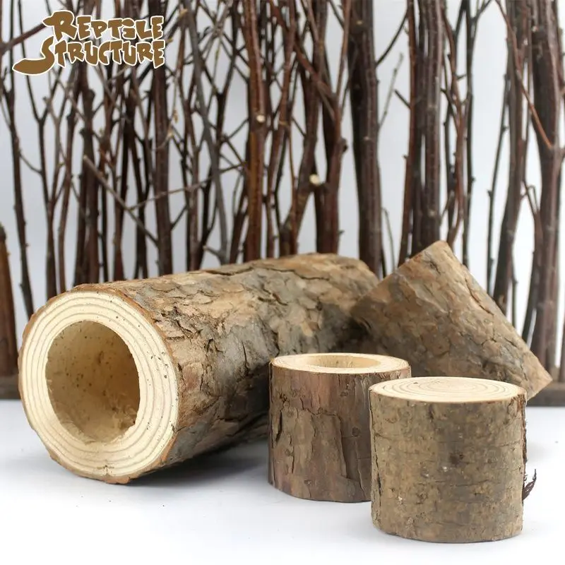 The Hideaway Hollow - Image 4