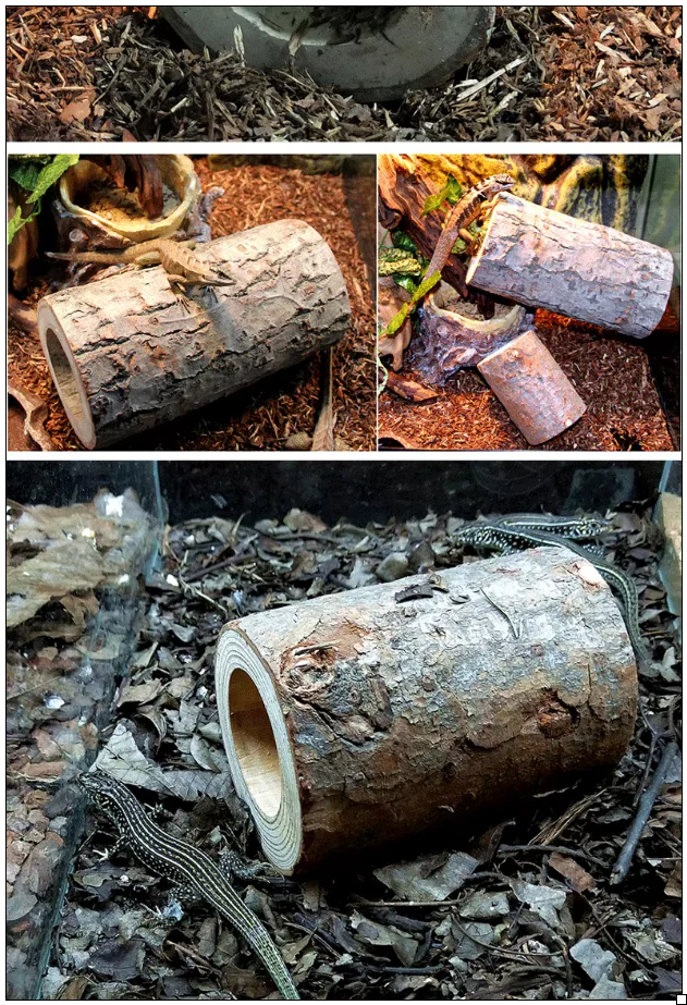 The Hideaway Hollow - Image 6