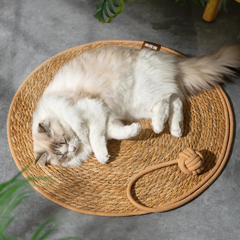 The Pawnder Mat - Image 4