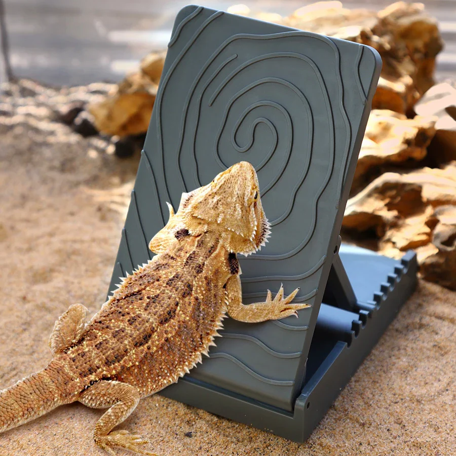 The Summit Rise - Image 3