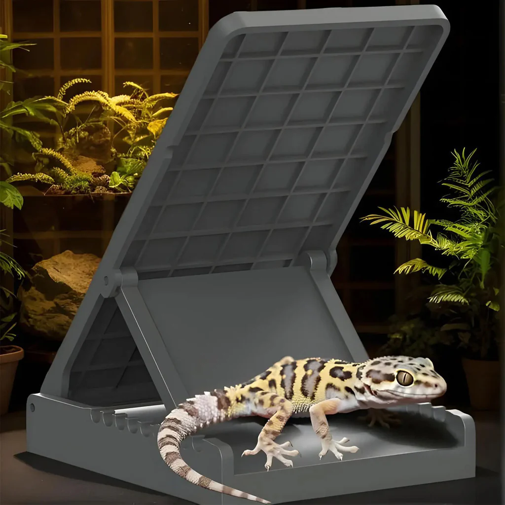 The Summit Rise - Image 4