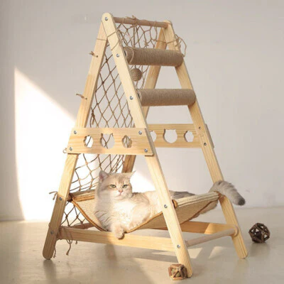 The VertiCat Climb - Image 4