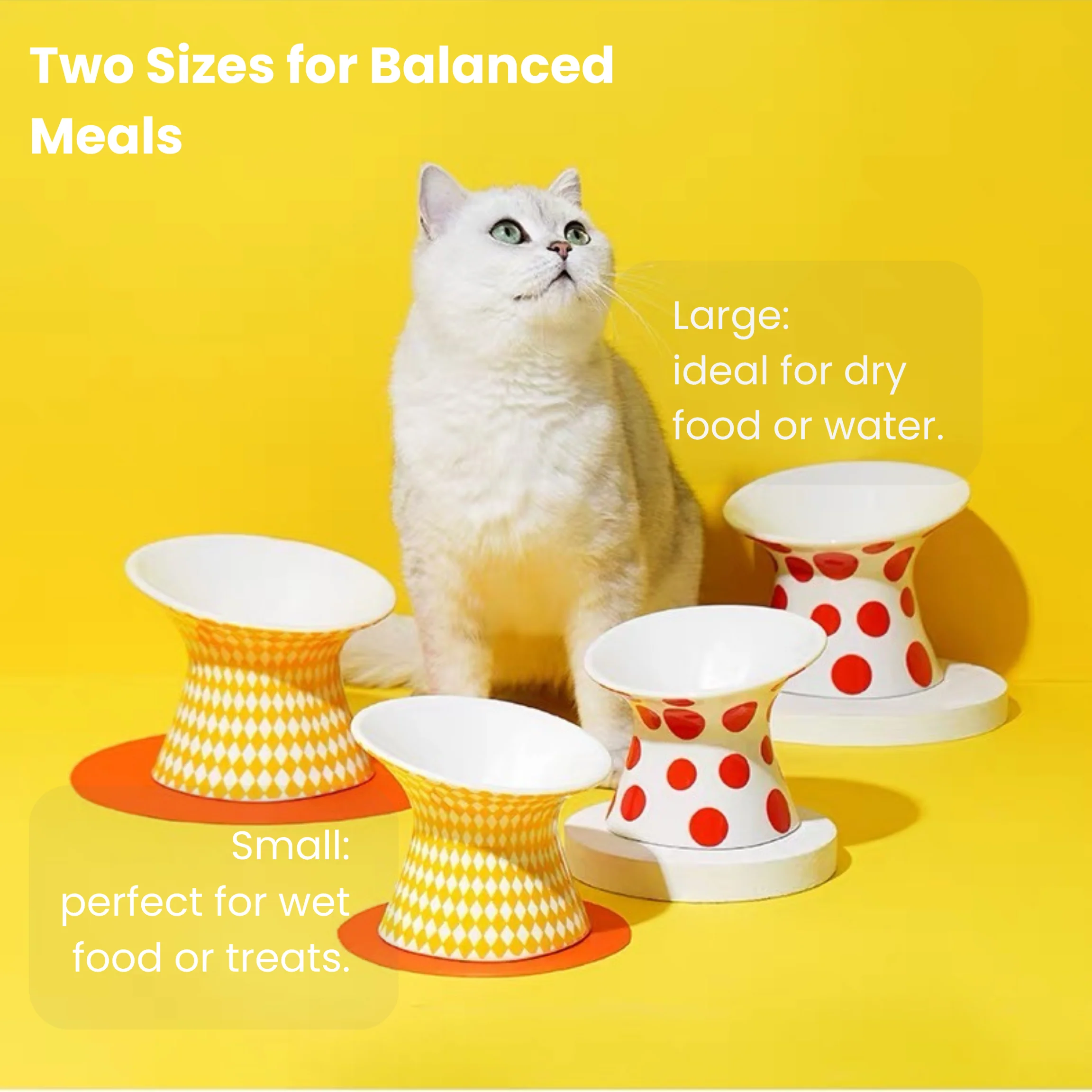 Zeze | Popart Ceramic Pet Bowl - Image 4